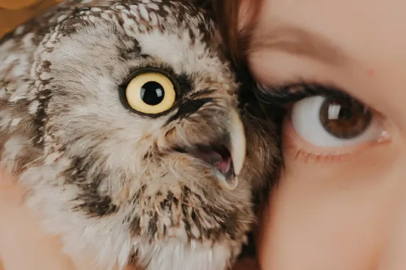 БоаБоа Казино Поддръжка